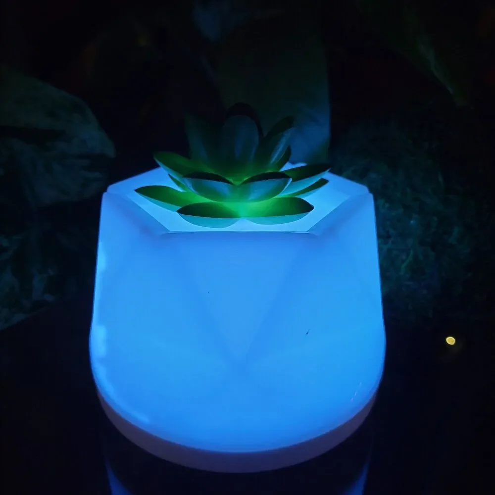 Succulent Color-Changing Night Light Lamp Waterless Essential Oil Diffuser Aroma